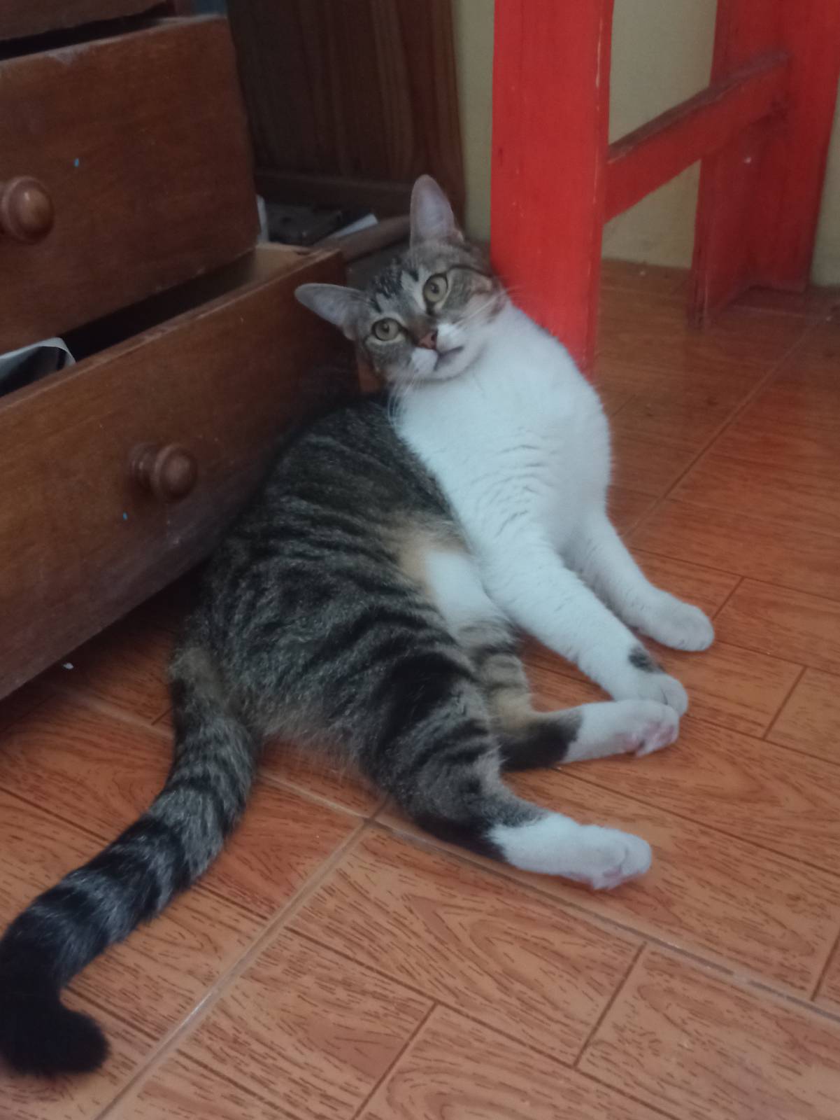 Luna