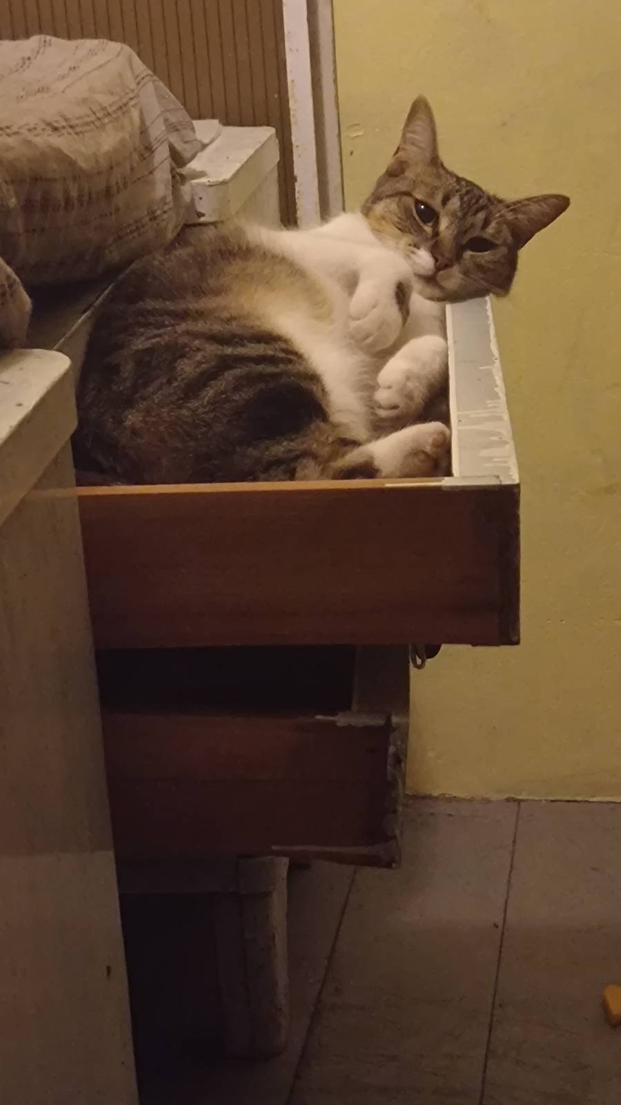 Luna 2