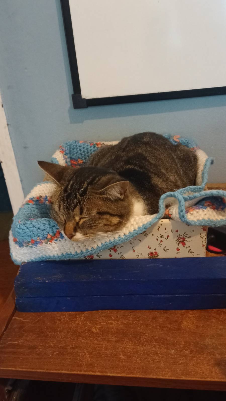 Luna 3